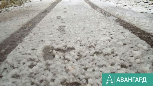 Татарстанцы совершили 218 ДТП при выезде на встречку