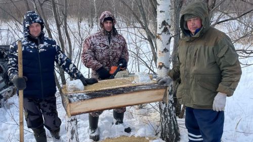 Чем сотрудники охотничьих хозяйств в РТ подкармливают лосей, косуль и зайцев