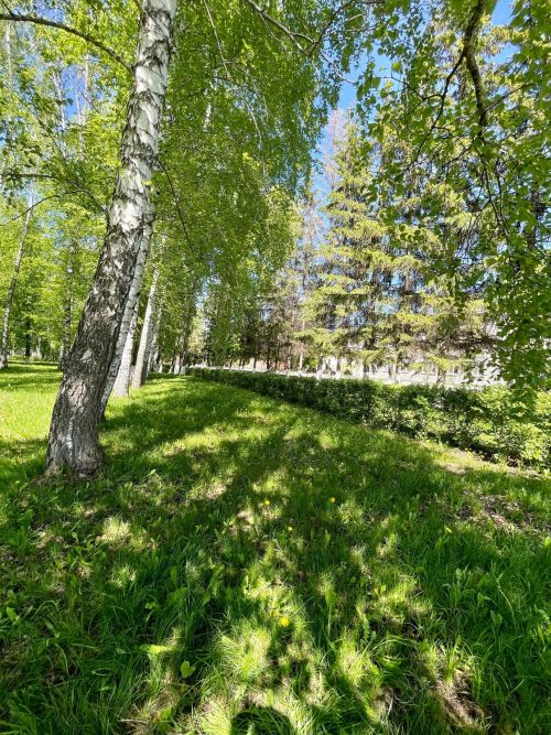 В Татарстане сохраняется пожароопасная обстановка