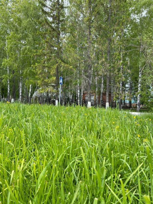 Более 356 тыс. татарстанцев проголосовали за объекты для благоустройства