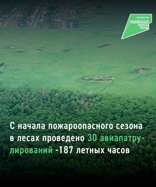 В рамках нацпроекта в лесах Татарстана провели 30 авиапатрулирований