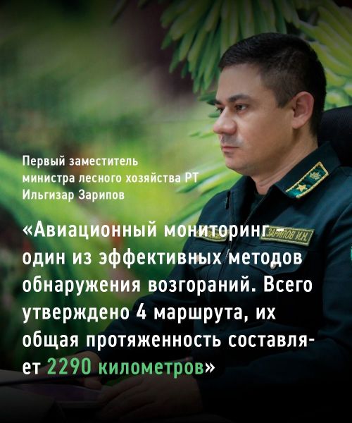 В рамках нацпроекта в лесах Татарстана провели 30 авиапатрулирований