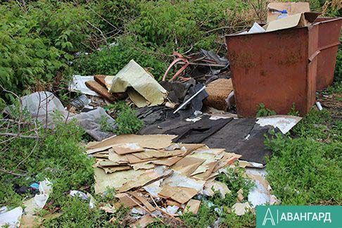 Огромную свалку обнаружили жители поселка под Казанью