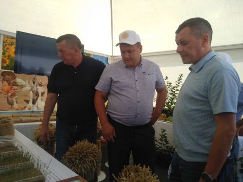 Тетюшане получили высокую оценку