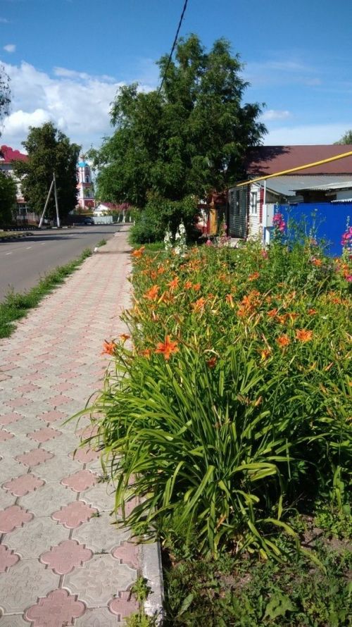О погоде в Тетюшах 5 августа 2023 года