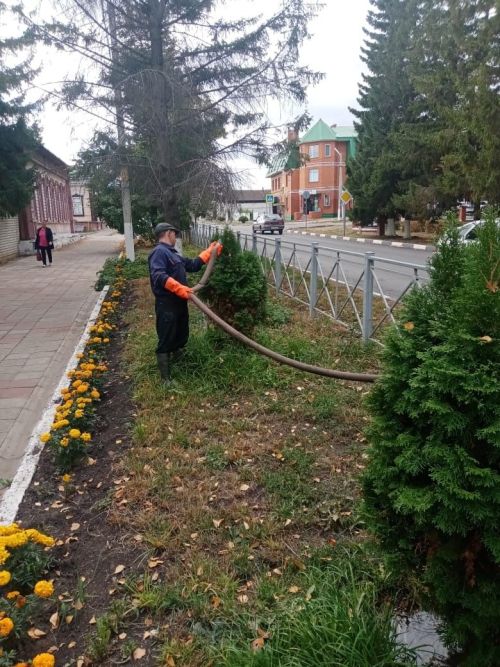 Работники МУП «МПП «Тетюшское» поливают туи в городе