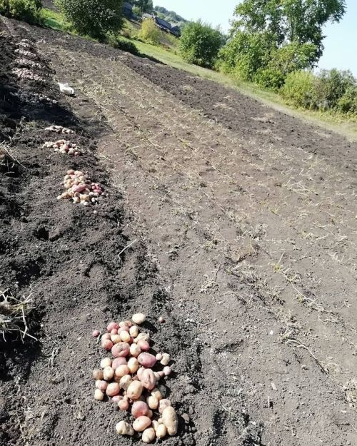 Татарстанцы в ходе прямого эфира могут получить ответы по вопросам нарушения земельного законодательства