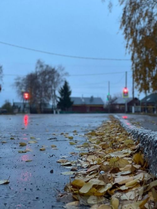 Погода в Тетюшах 1 ноября: умеренные осадки в виде дождя и мокрого снега
