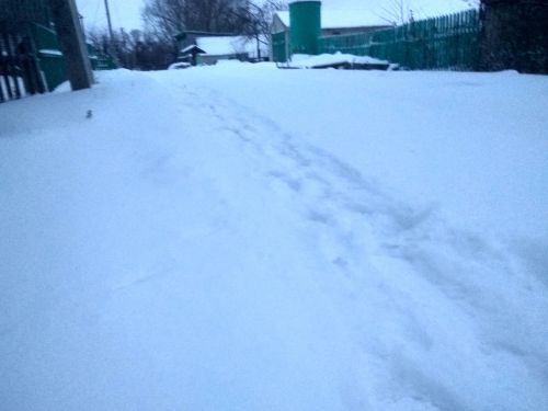 О погоде  в Тетюшах 25 февраля 2024 года