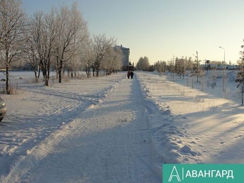 О погоде в Тетюшах 6 февраля 2024 года: на дорогах снежные заносы, гололедица