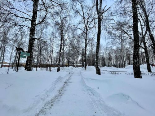 В Татарстане наблюдается выпадение осадков и легкий морозец