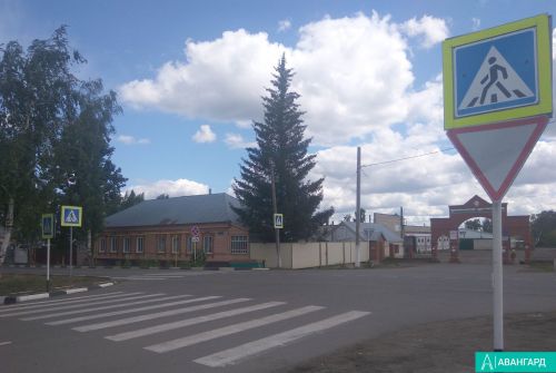 В Республике Татарстан проходит профилактическое мероприятие «Пешеход»