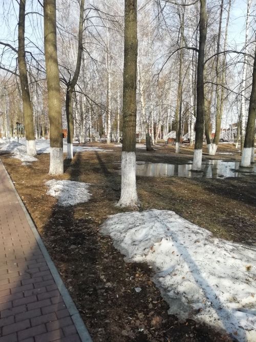О погоде в Тетюшах 31 марта