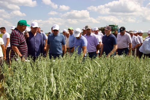 В Тетюшском районе прошел зональный семинар-совещание аграриев