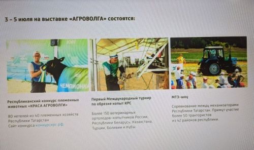 Компании Беларуси, Турции, Китая, Ирана представят свою продукцию на «Агроволге» в Казань