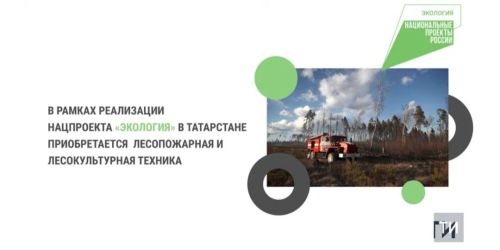В рамках нацпроекта Татарстан за пять лет приобрел 125 единиц лесопожарной техники