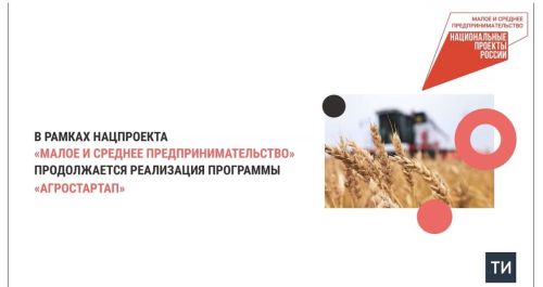 Благодаря нацпроекту на поддержку фермеров Татарстана в 2024 году выделили 369 млн рублей