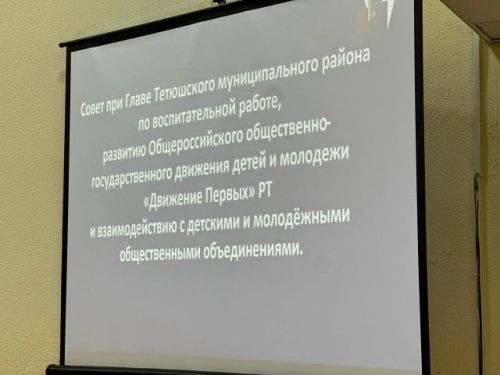 Совет при главе Тетюшского района обсудил развитие детских общественных движений