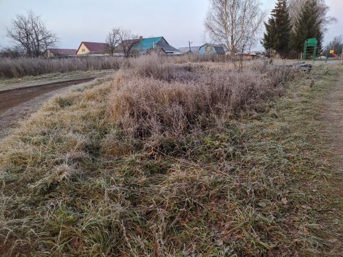 Погода в Татарстане 1 декабря: облачность, мокрый снег и гололедица