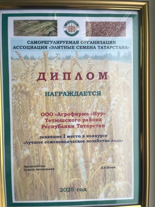 Лучшим семеноводческим хозяйством года стала агрофирма «Нур» Тетюшского района
