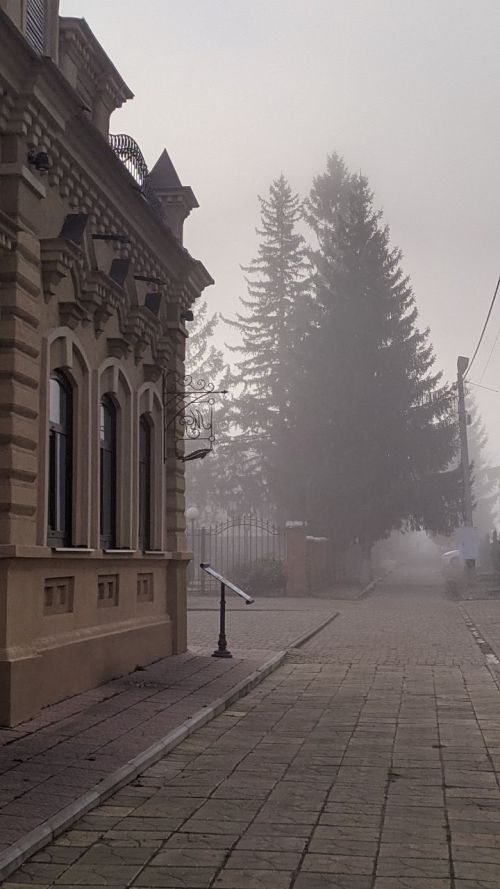 В Татарстане ночью и утром 5 декабря ожидается туман