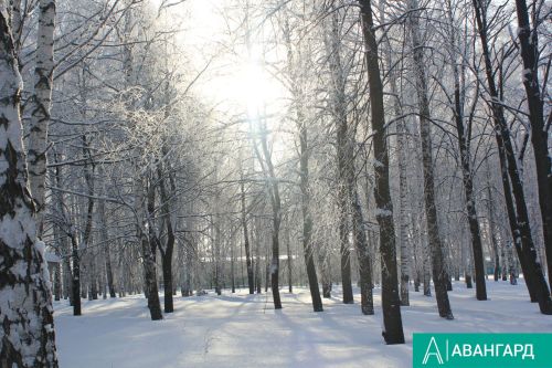 Какая погода будет в Тетюшском районе 19 февраля