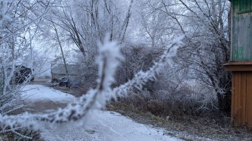 В последний день зимы Татарстан столкнется с умеренно морозной погодой