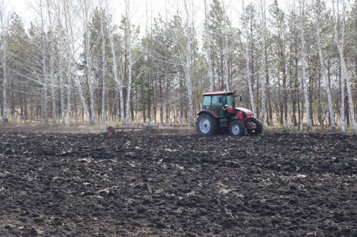В Тетюшском районе завершили подкормку озимых культур