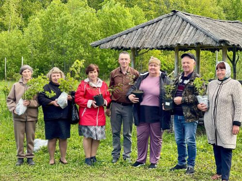 Выписали районку – выиграли саженцы