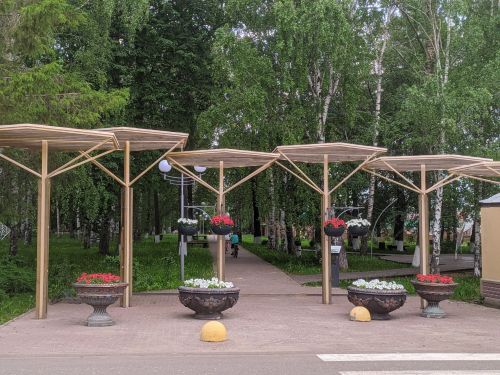 Подведены итоги муниципального этапа Международной акции «Марш парков-2025»