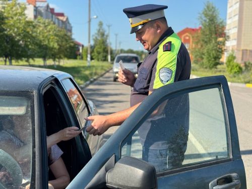 Безопасность детей в автомобилях: результаты рейда «Тоннель» в Тетюшском районе
