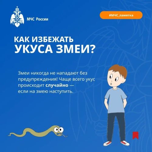 Осторожно, змеи! Советы от МЧС России