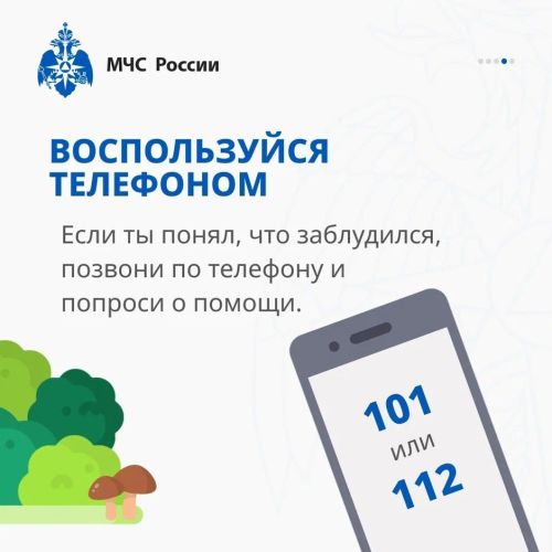 Заблудился в лесу?