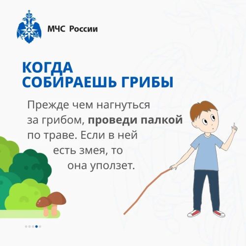 Осторожно, змеи! Советы от МЧС России