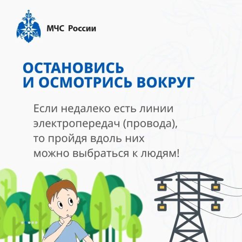 Заблудился в лесу?