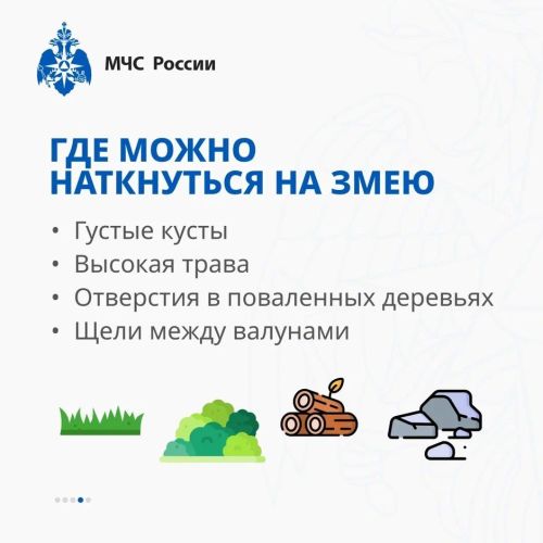 Осторожно, змеи! Советы от МЧС России