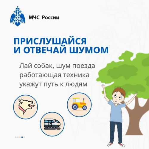 Заблудился в лесу?