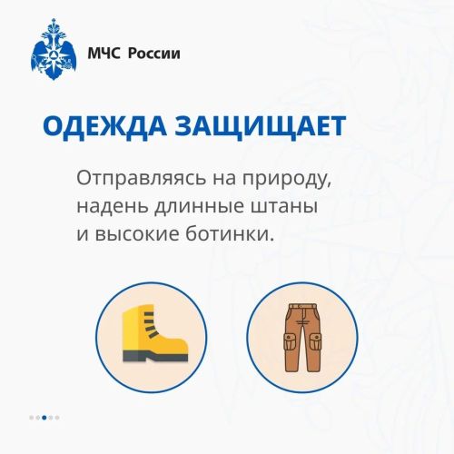 Осторожно, змеи! Советы от МЧС России