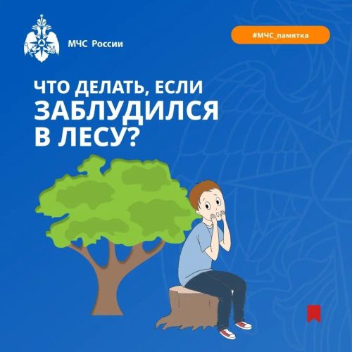 Заблудился в лесу?