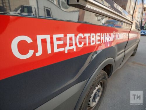 В Татарстане задержан иностранец по обвинению в серии изнасилований несовершеннолетней