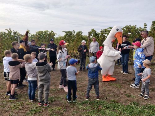 «С нами расти легче!»: В Татарстане прошел спортивный праздник для особенных детей