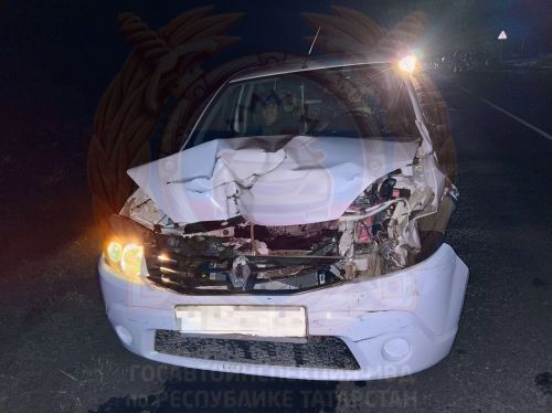 ДТП в Тетюшском районе: пассажир мотоблока погиб при столкновении с автомобилем