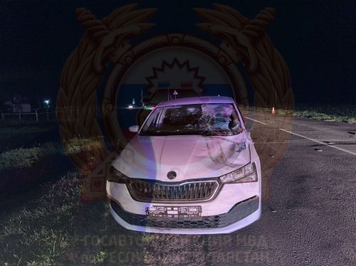 ДТП в Тетюшском районе: пассажир мотоблока погиб при столкновении с автомобилем
