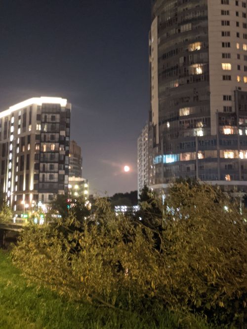 Звёздный прогноз: что готовит судьба каждому знаку 9 сентября