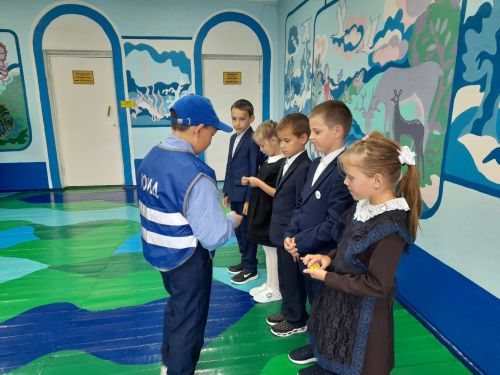 Акция «Фликер — это важно!» прошла в Киртелинской школе