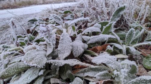 Днем в Татарстане, 15 января, ожидается до −17 °C