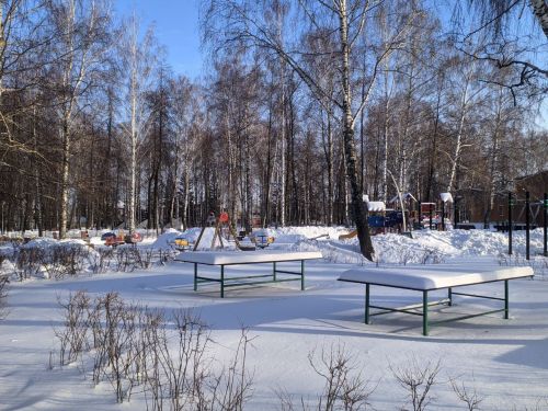 Гидрометцентр Татарстана сообщил прогноз погоды на 19 января 2026 года