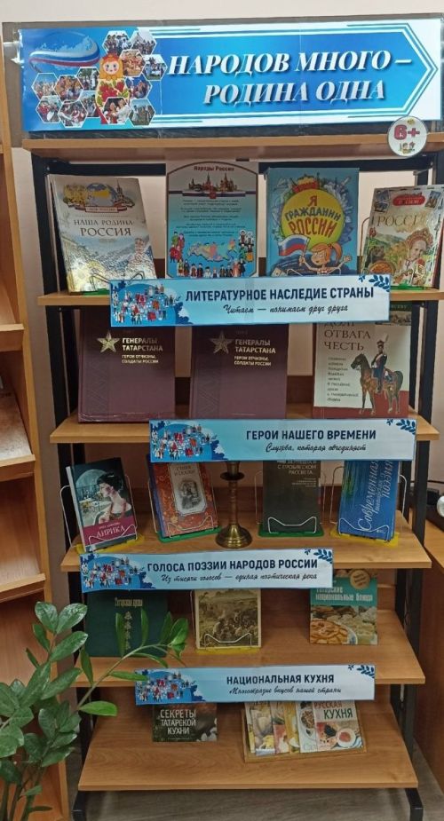 В Жуковской библиотеке открылась выставка «Народов много — Родина одна»