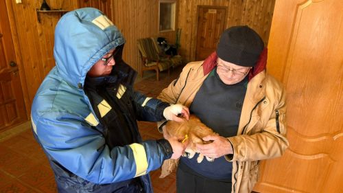 Рейд по проверке содержания домашних животных прошел в Тетюшах
