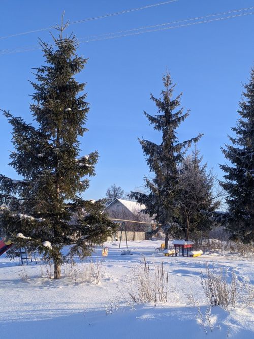 Погода в Татарстане 4 февраля 2026 года: прогноз Гидрометцентра РТ